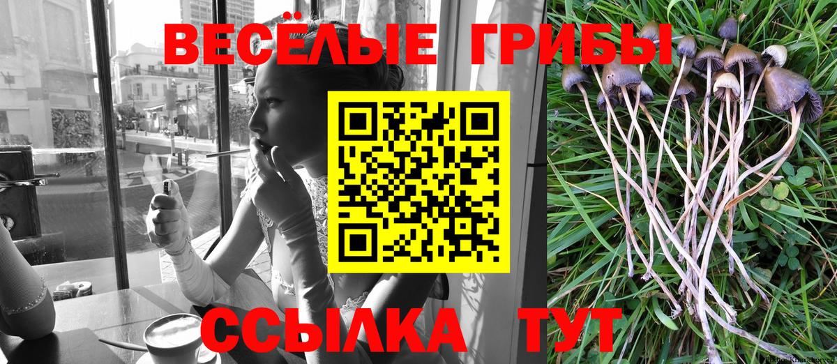 Вязьма  Галлюциногенные грибы мухоморы  Галлюциногенные грибы GOLDEN TEACHER  Вход с VPN 