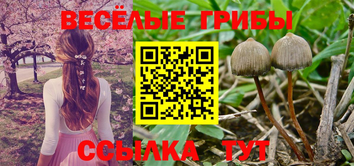 Псилоцибиновые грибы мухоморы Вязьма